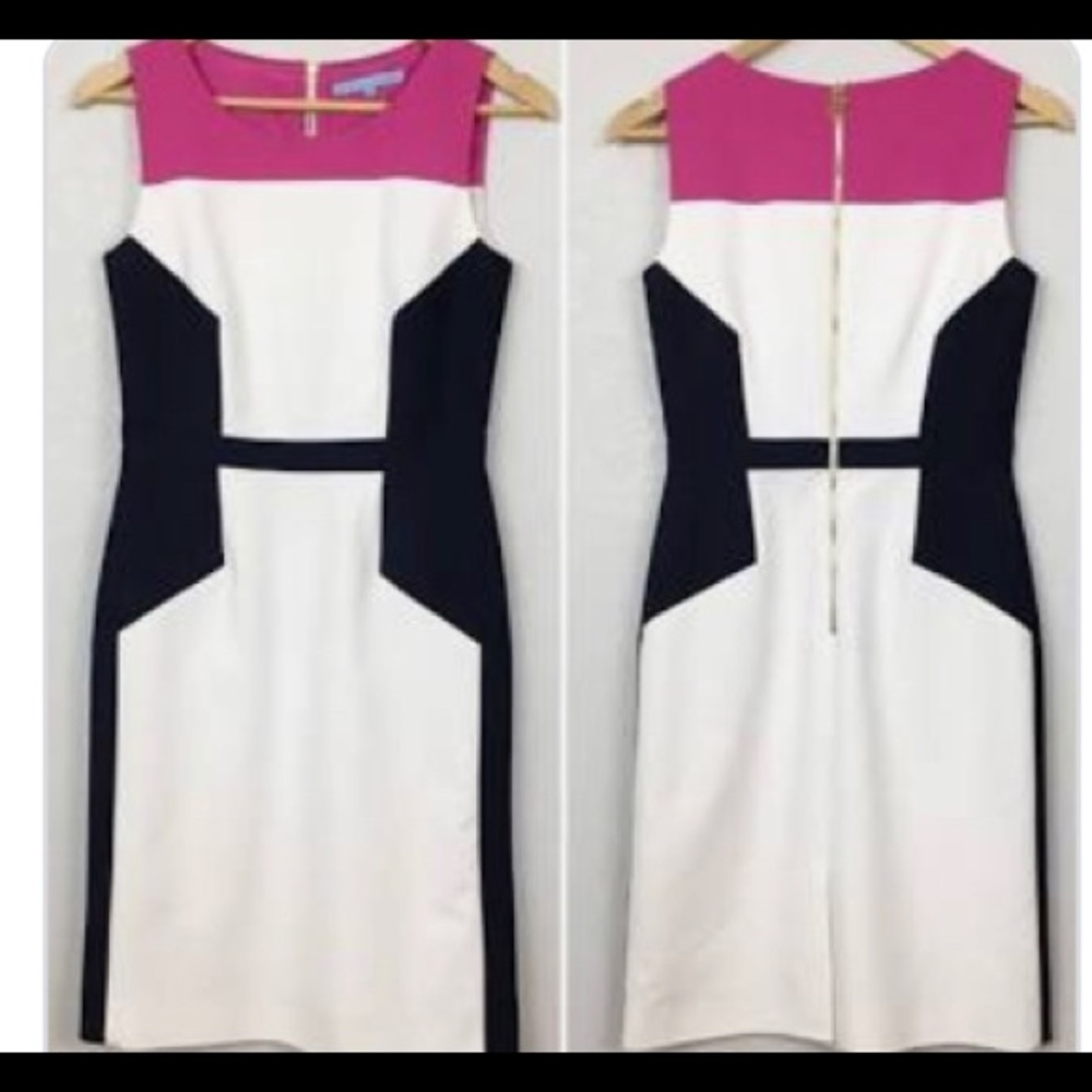 Antonio Melani Color Block Dress
